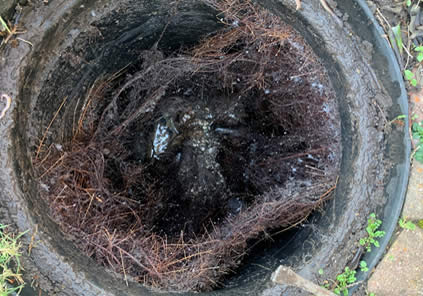 COMPLETE DRAINAGE SOLUTIONS IN RICHMOND_26_03_2026_3